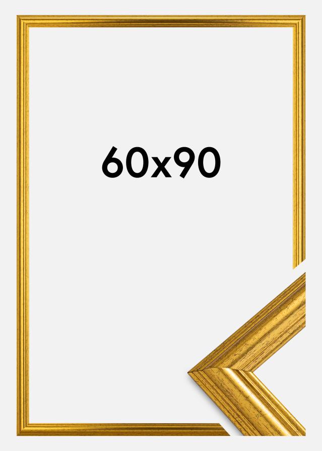 Fotolijst Västkusten Acrylglas Goud 60x90 cm