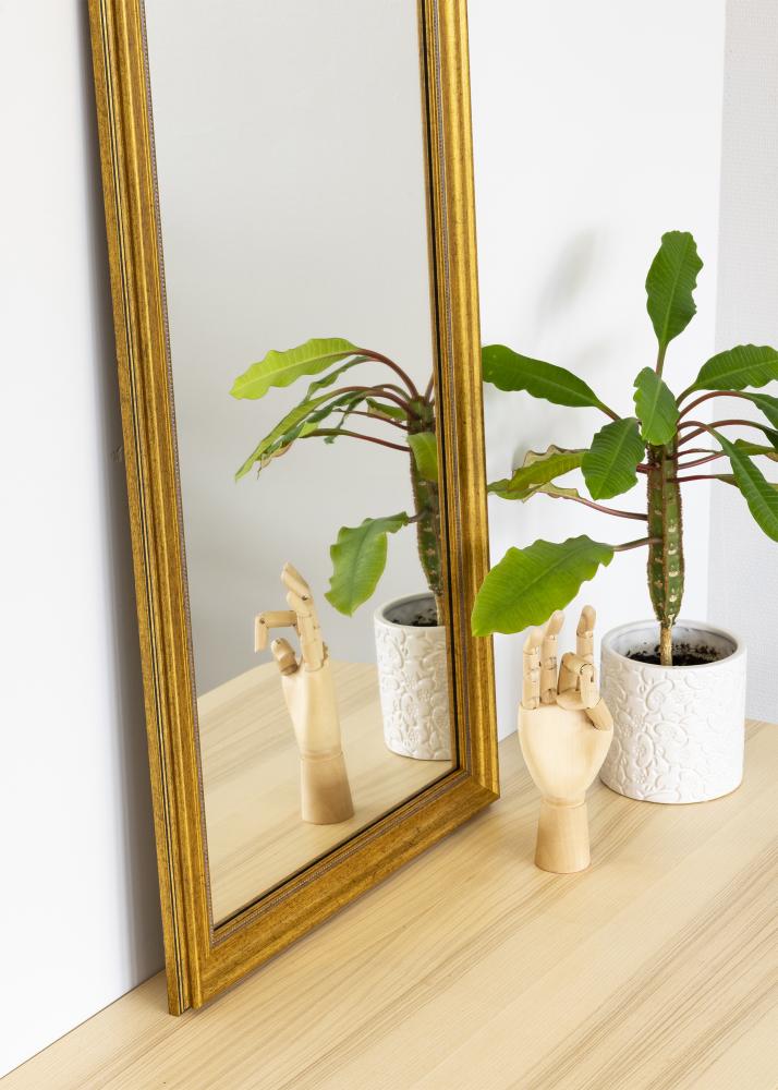 Spiegel Rokoko Goud 50x100 cm