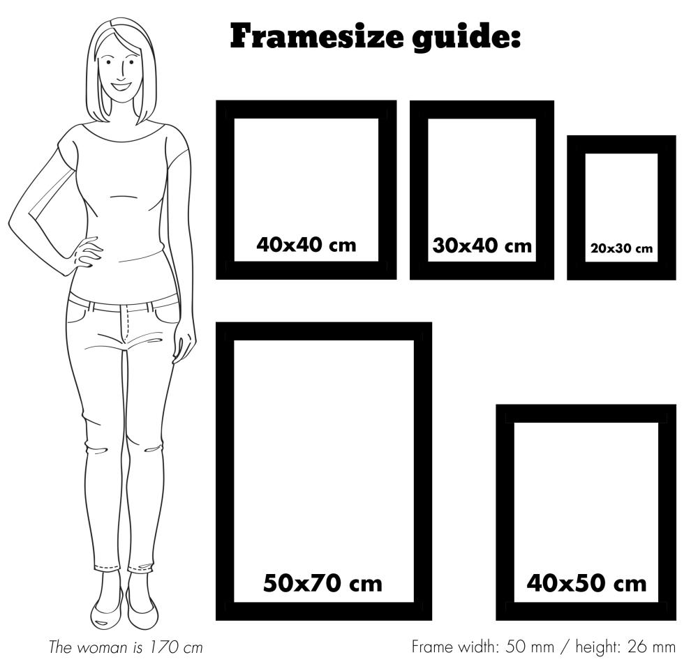 Fotolijst Rokoko Zilver 30x40 cm