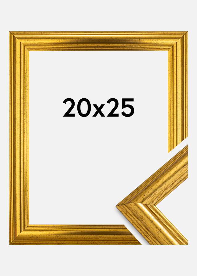 Fotolijst Västkusten Acrylglas Goud 20x25 cm