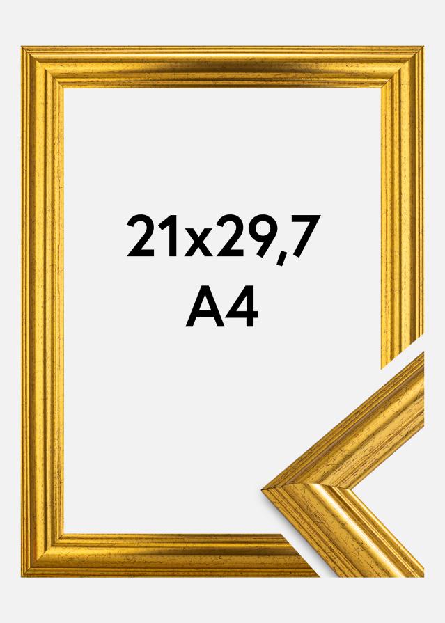 Fotolijst Västkusten Acrylglas Goud 21x29,7 cm (A4)