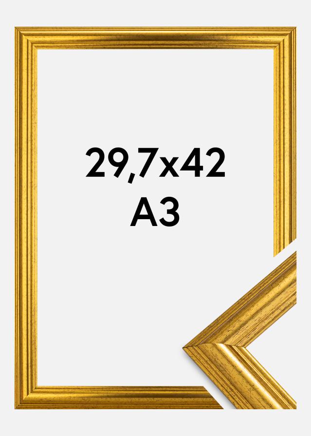 Fotolijst Västkusten Acrylglas Goud 29,7x42 cm (A3)