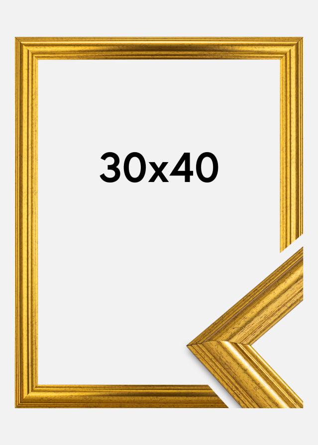 Fotolijst Västkusten Acrylglas Goud 30x40 cm