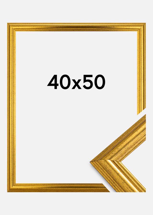 Fotolijst Västkusten Acrylglas Goud 40x50 cm
