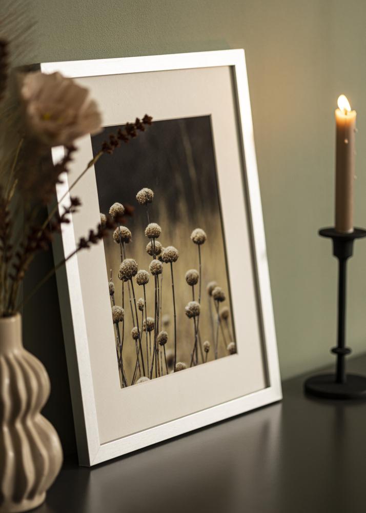 Fotolijst Selection Acrylglas Zilver 29,7x42 cm (A3)