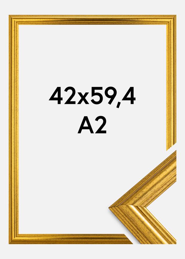 Fotolijst Västkusten Acrylglas Goud 42x59,4 cm (A2)