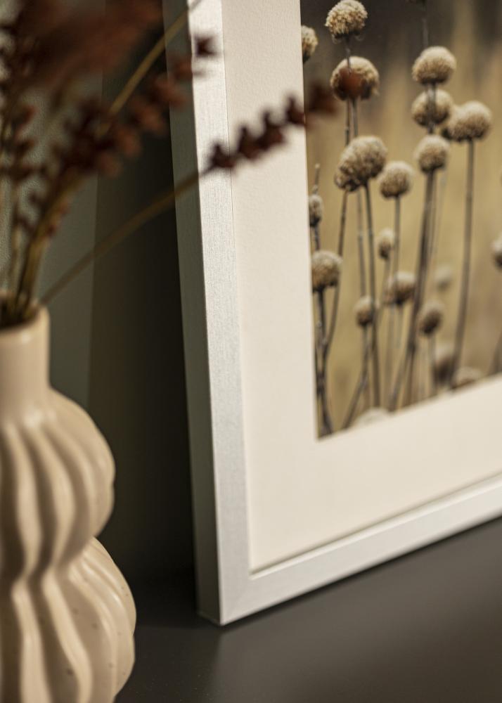 Fotolijst Selection Acrylglas Zilver 29,7x42 cm (A3)