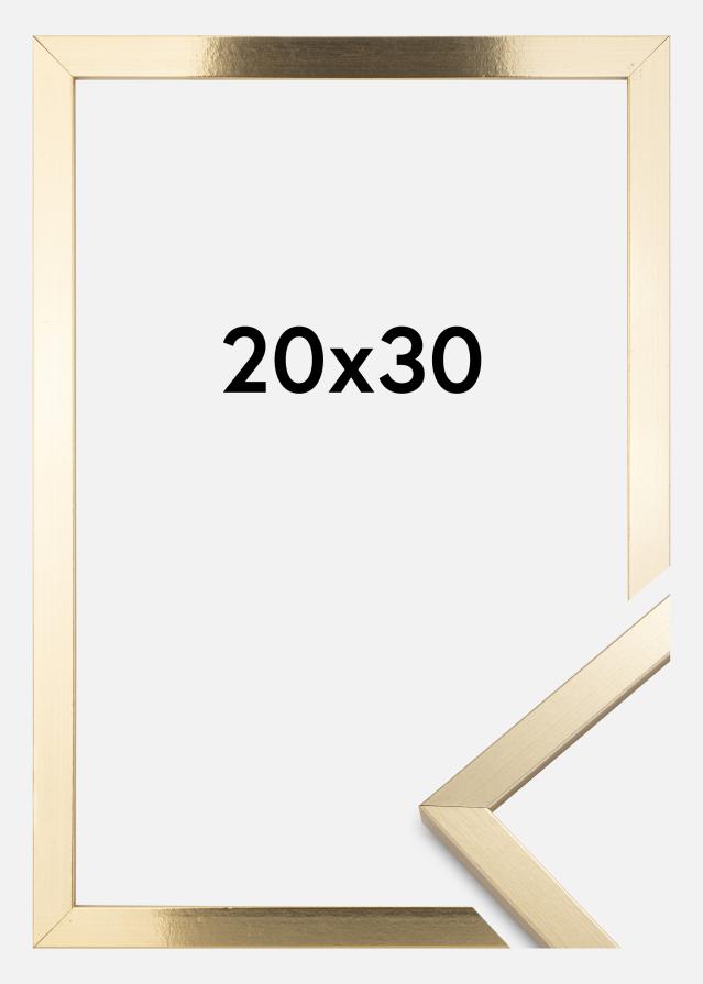 Fotolijst Trendy Acrylglas Goud 20x30 cm