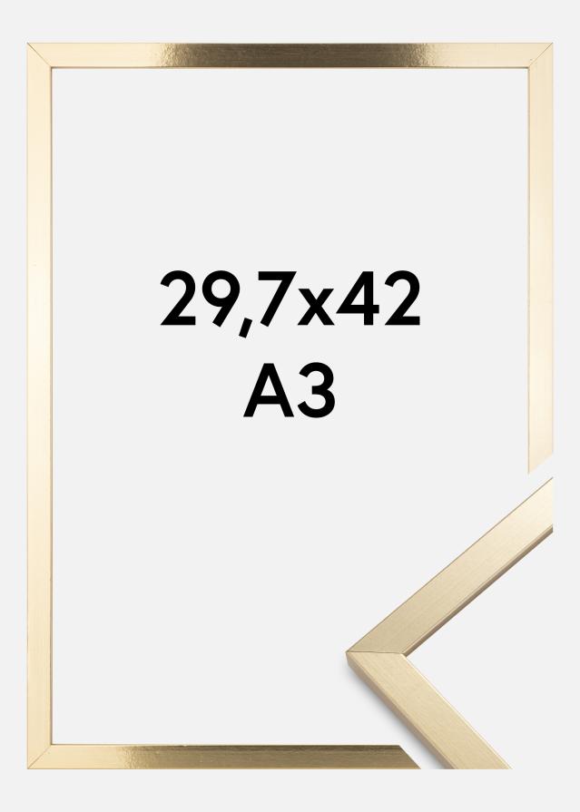 Fotolijst Trendy Acrylglas Goud 29,7x42 cm (A3)