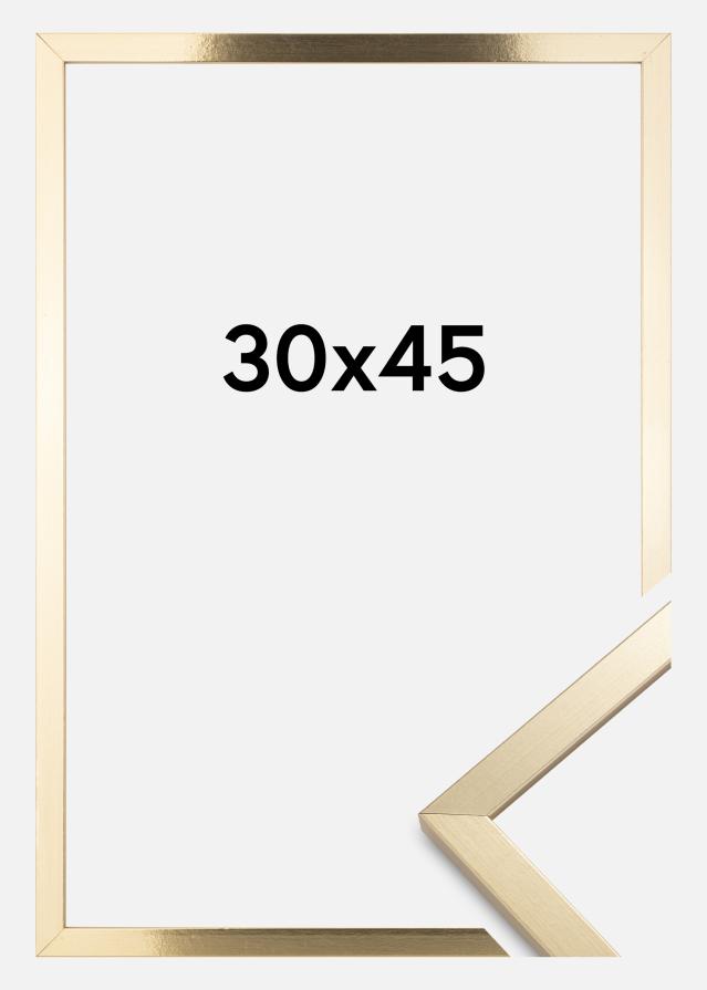 Fotolijst Trendy Acrylglas Goud 30x45 cm