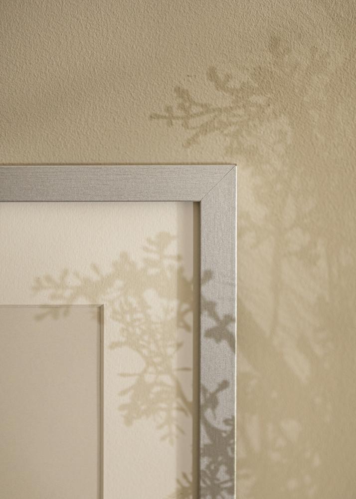 Fotolijst Selection Acrylglas Zilver 29,7x42 cm (A3)