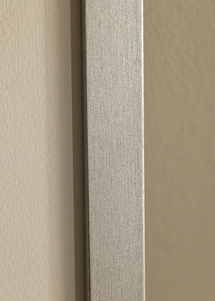 Fotolijst Selection Acrylglas Zilver 29,7x42 cm (A3)