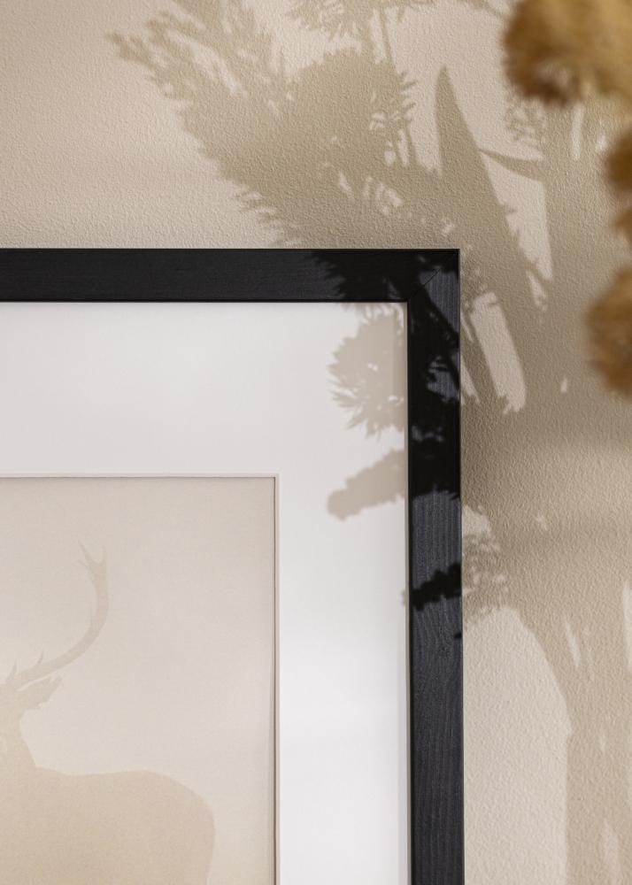 Fotolijst Stilren Acrylglas Zwart 35x100 cm