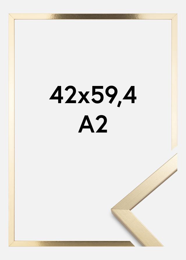 Fotolijst Trendy Acrylglas Goud 42x59,4 cm (A2)