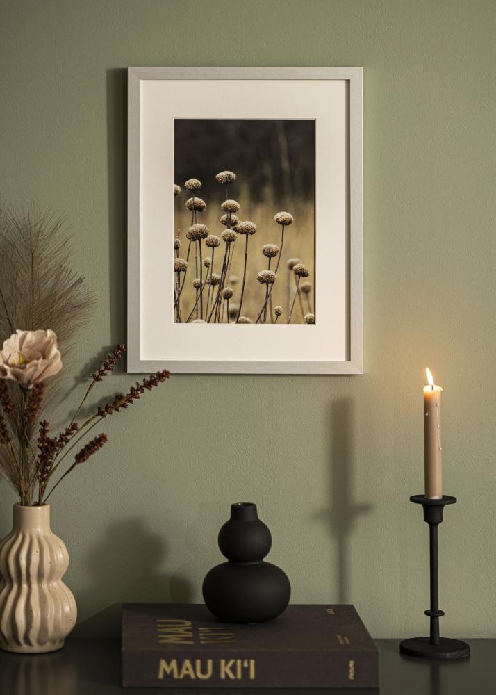 Fotolijst Selection Acrylglas Zilver 29,7x42 cm (A3)