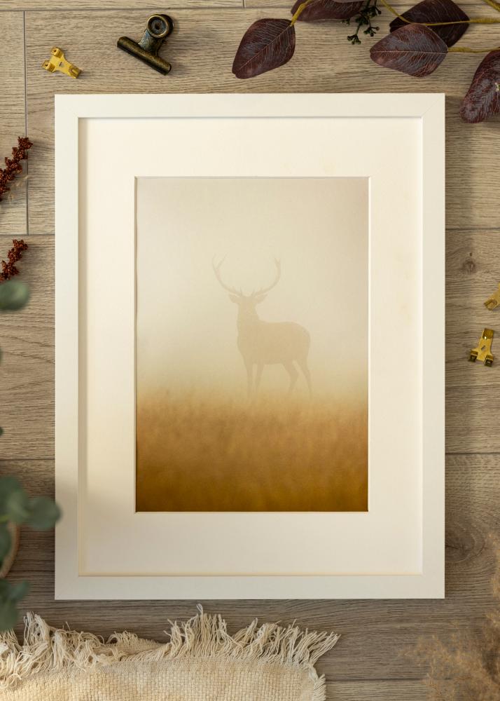 Fotolijst BGA Classic Acrylglas Wit 29,7x42 cm (A3)