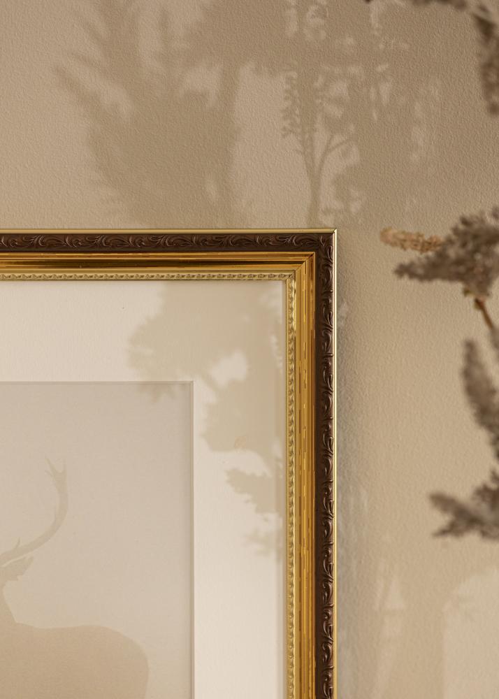 Fotolijst Abisko Acrylglas Goud 10x15 cm