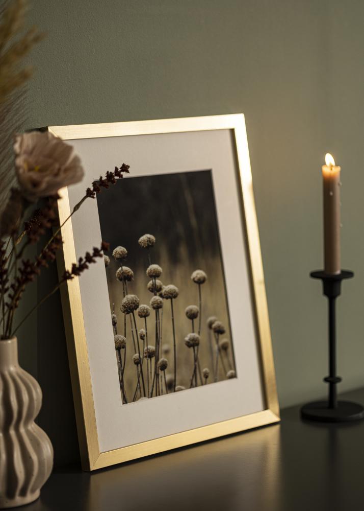 Fotolijst Selection Acrylglas Goud 42x59,4 cm (A2)