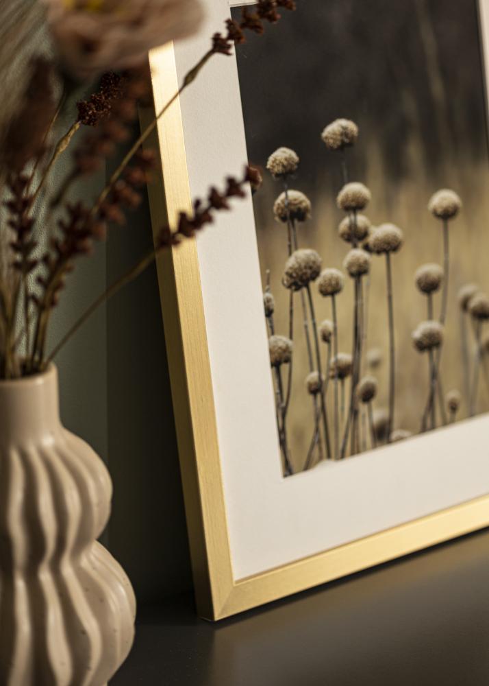 Fotolijst Selection Acrylglas Goud 42x59,4 cm (A2)