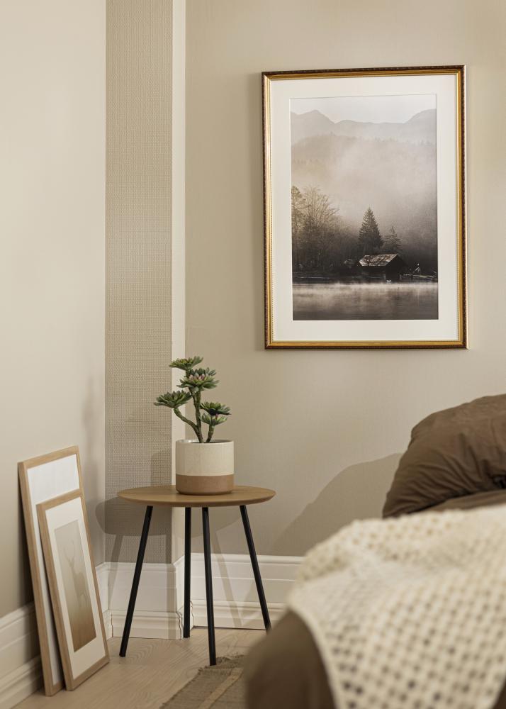 Fotolijst Abisko Acrylglas Goud 10x15 cm