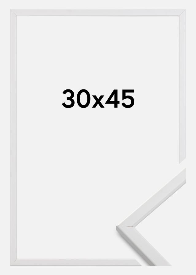 Fotolijst Galant Acrylglas Wit 30x45 cm
