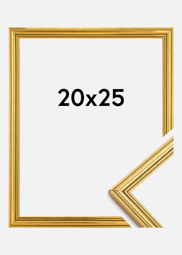 Fotolijst Classic Goud 20x25 cm