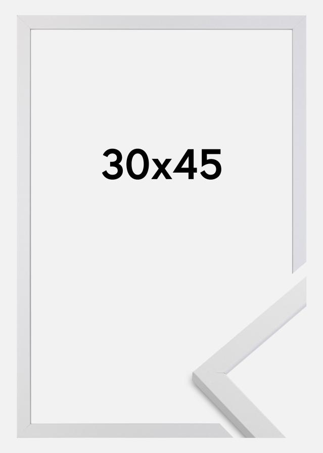 Fotolijst Trendy Acrylglas Wit 30x45 cm