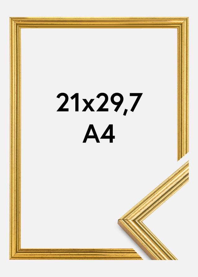 Fotolijst Classic Goud 21x29,7 cm (A4)
