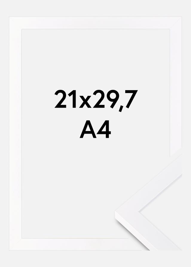 Fotolijst Selection Acrylglas Wit 21x29,7 cm (A4)