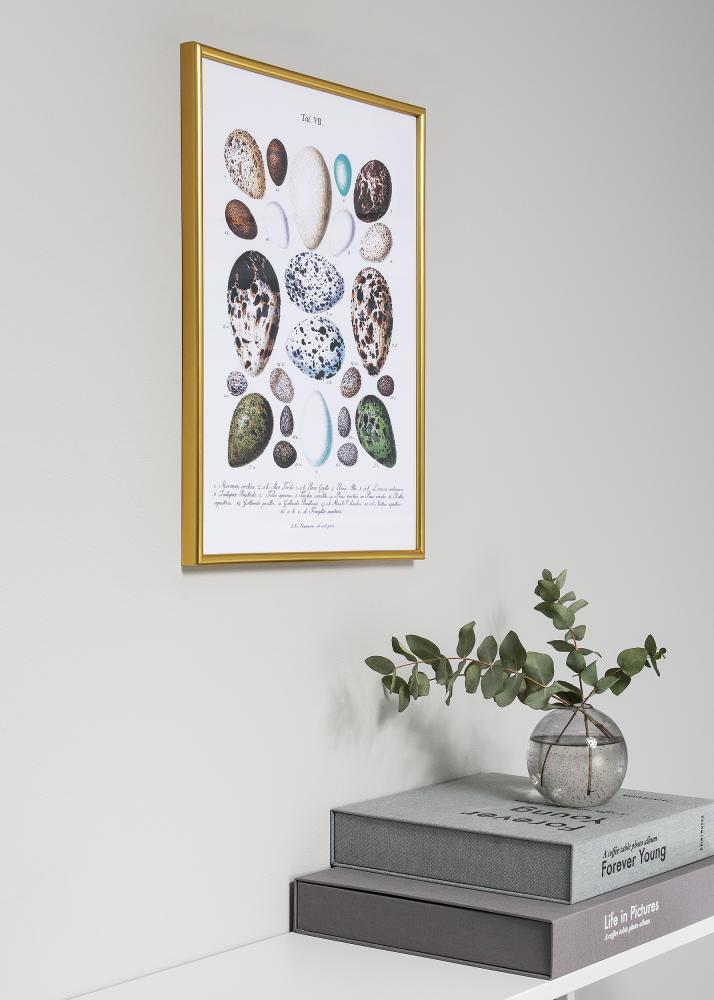 Fotolijst Decoline Goud 21x29,7 cm (A4)