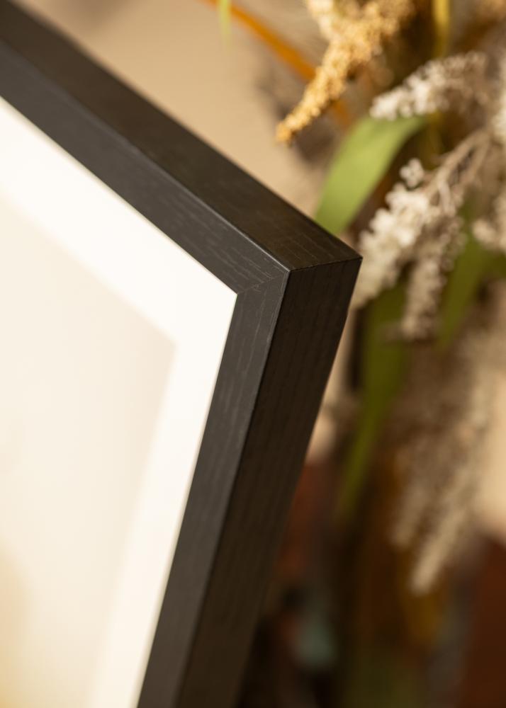 BGA Framebox Acrylglas Zwart 40x60 cm