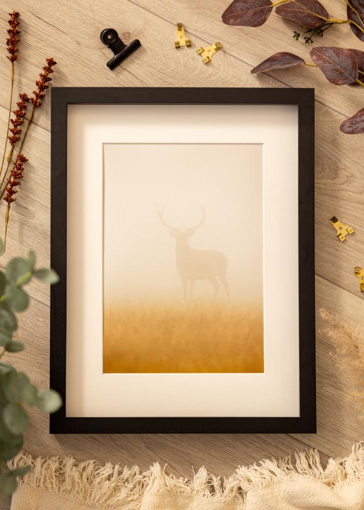 BGA Framebox Acrylglas Zwart 40x60 cm