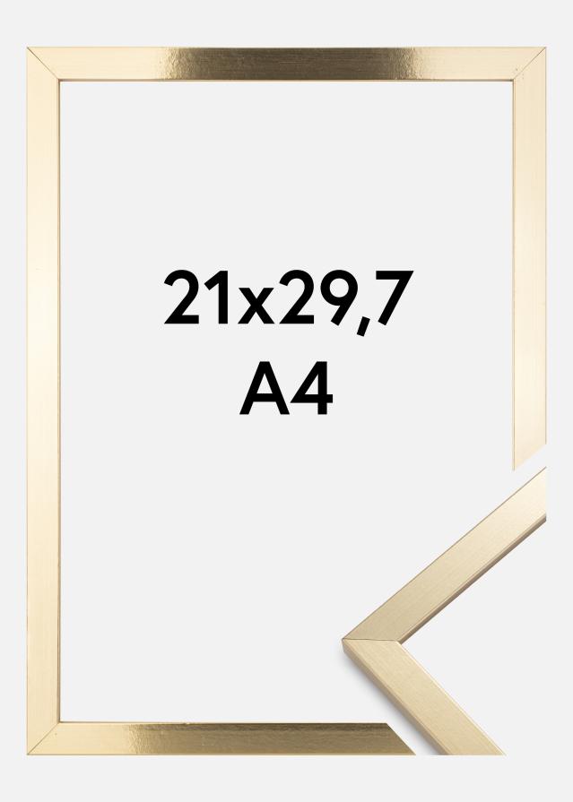 Fotolijst Trendy Acrylglas Goud 21x29,7 cm (A4)
