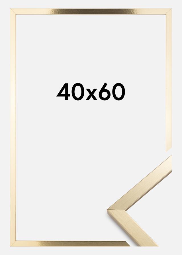 Fotolijst Trendy Acrylglas Goud 40x60 cm