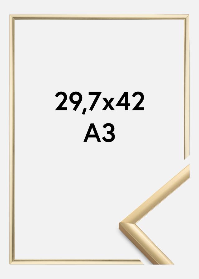 Fotolijst New Lifestyle Goud 29,7x42 cm (A3)