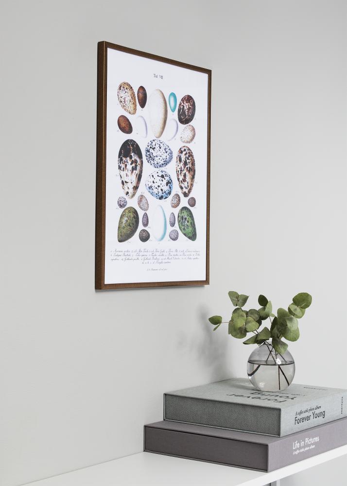 Fotolijst New Lifestyle Acrylglas Blauw 29,7x42 cm (A3)