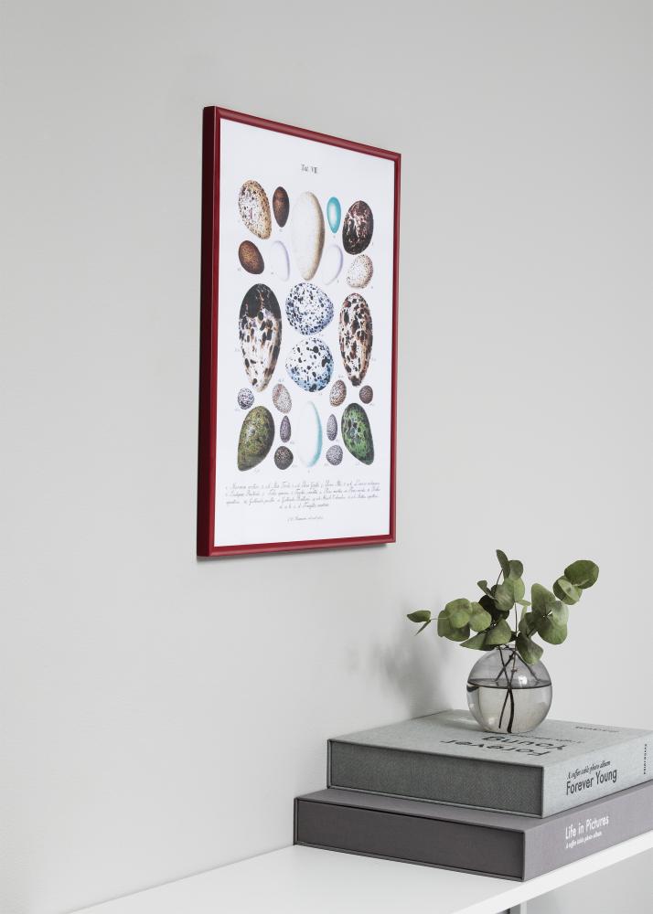 Fotolijst New Lifestyle Rood 10x15 cm