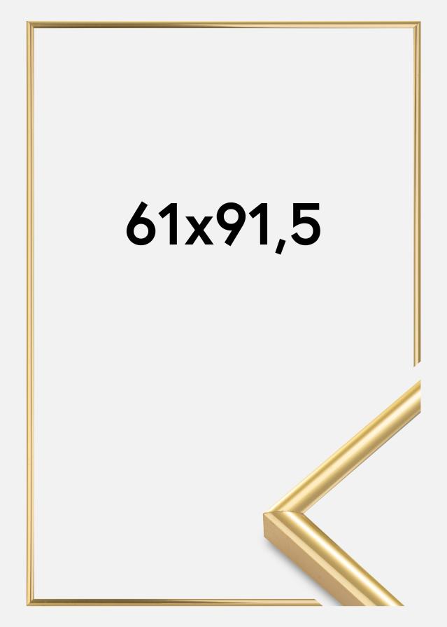 Fotolijst Victoria Acrylglas Goud 61x91,5 cm
