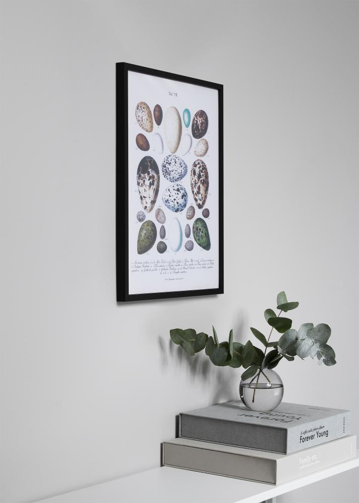 Fotolijst Oslo Acrylglas Zwart 40x50 cm