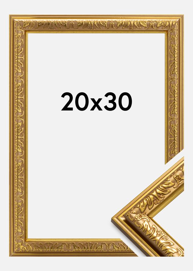 Fotolijst Nostalgia Goud 20x30 cm