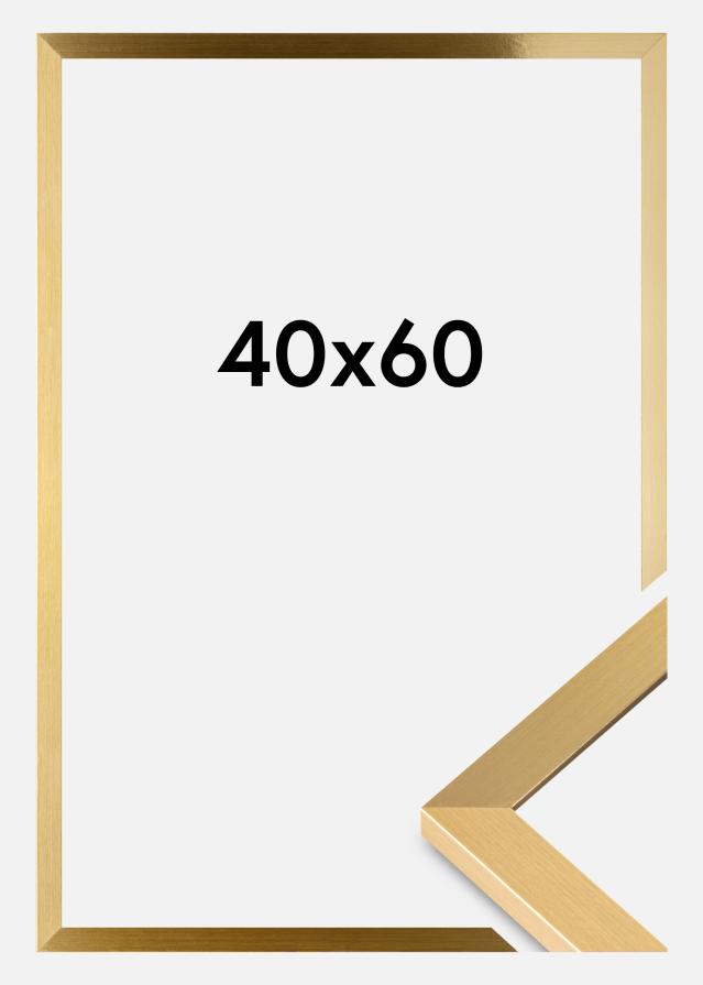Fotolijst Selection Acrylglas Goud 40x60 cm