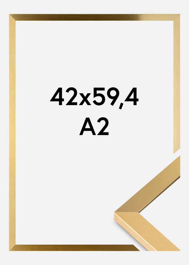 Fotolijst Selection Acrylglas Goud 42x59,4 cm (A2)