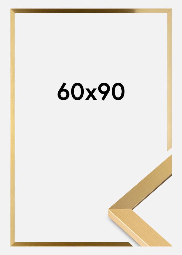 Fotolijst Selection Acrylglas Goud 60x90 cm