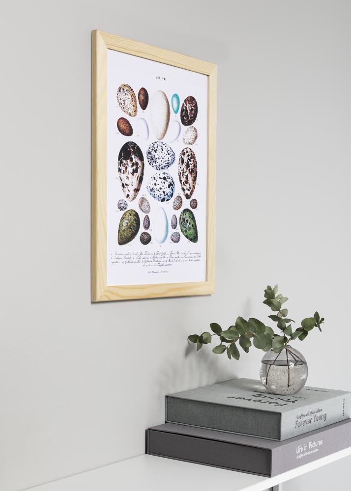 Fotolijst Trendline Acrylglas Nature 50x70 cm