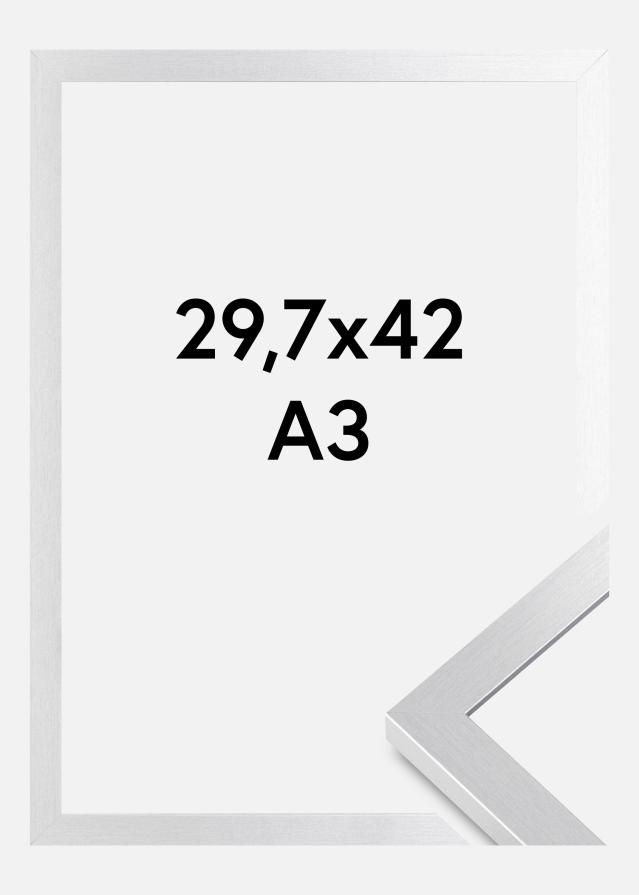 Fotolijst Selection Acrylglas Zilver 29,7x42 cm (A3)