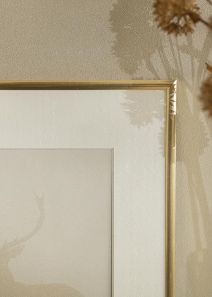 Fotolijst New Lifestyle Acrylglas Shiny Gold 29,7x42 cm (A3)