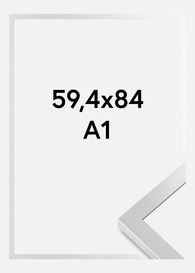 Fotolijst Selection Acrylglas Zilver 59,4x84,1 cm (A1)